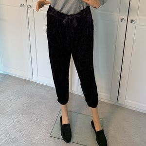 Adorable velvet, deep blue/purple joggers